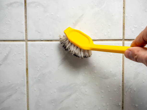 Best Professional Mold Removal  in Muskegon, MI