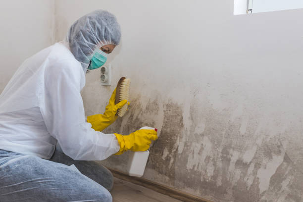 Best Mold Testing  in Muskegon, MI