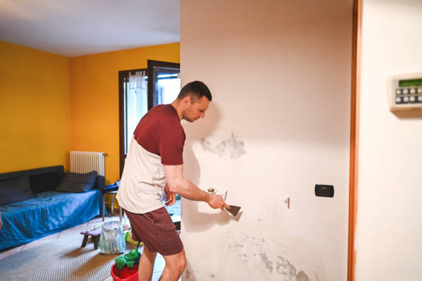 Best Mold Cleaning Services  in Muskegon, MI